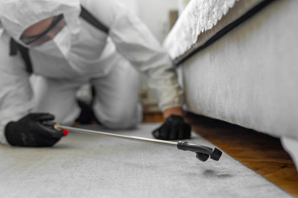 Professional Bed Bug Control technician working in Oregon, IL